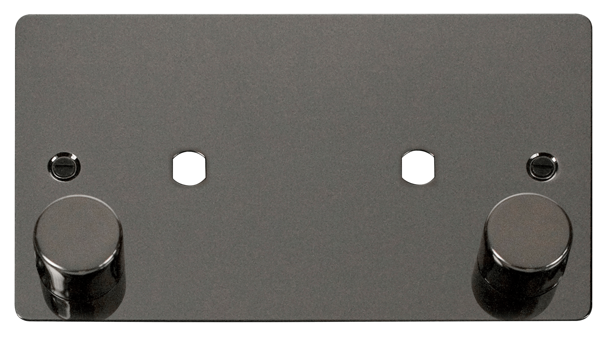 2G PLATE DOUBLE DIMM
