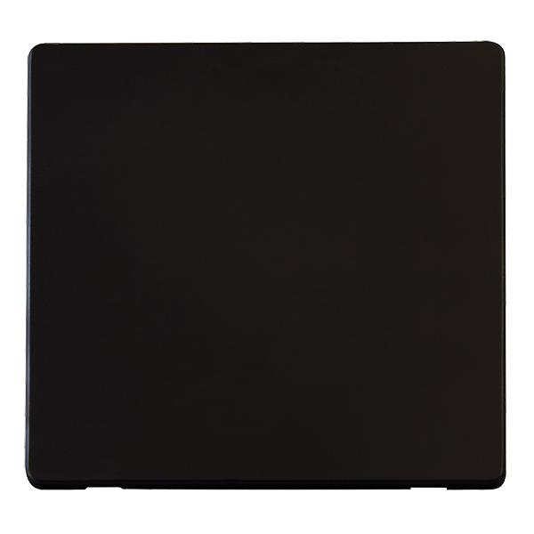 SL CP 1G BLANK MB