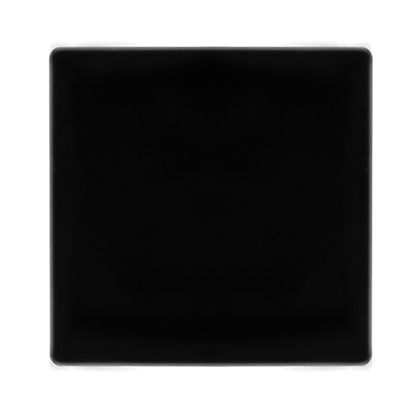1G BLANK PLATE MB
