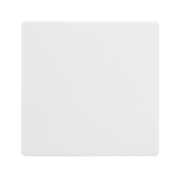 1G BLANK PLATE PW