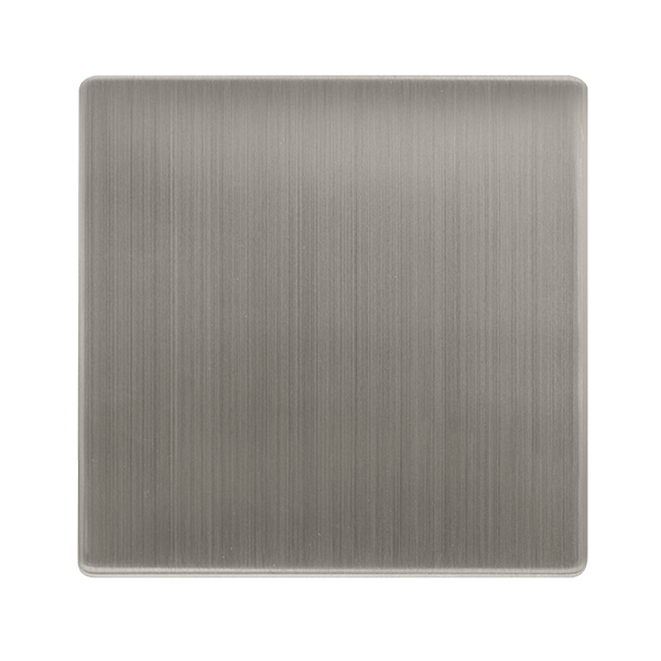 1G BLANK PLATE SS
